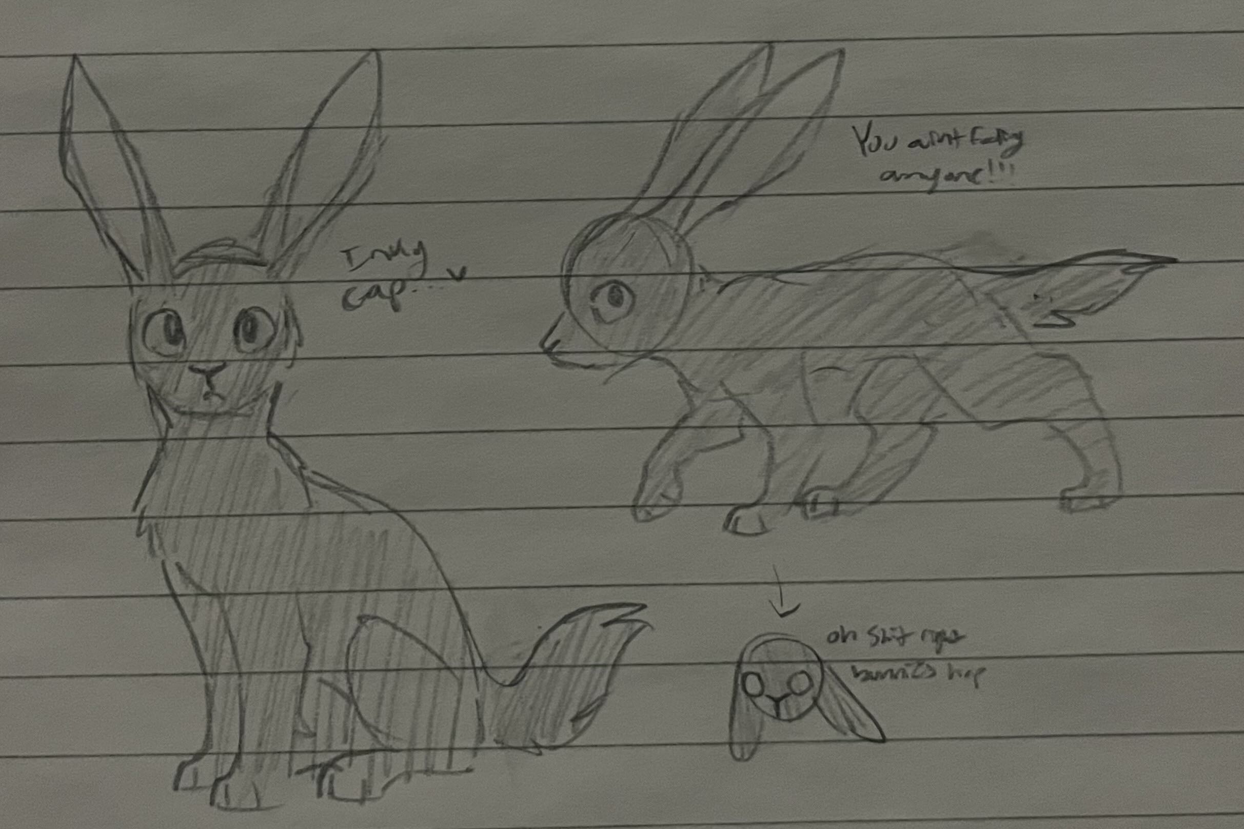 Inky Cap. My main rabbit on Warrenz's weird husband, who I have decided is not quite a rabbit.